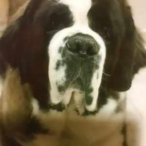 Meet your Posher, Dale